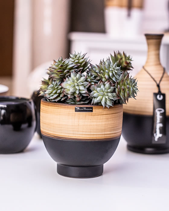 Bamboo com Preto